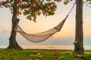 Hammock