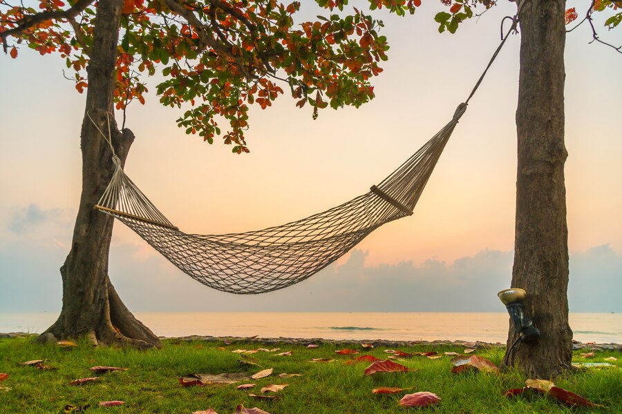 Hammock